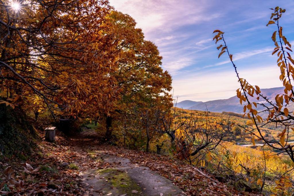 La Canada Del Valle Del Jerte نافاكونسيخو المظهر الخارجي الصورة