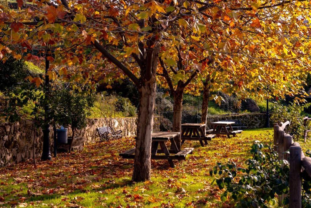La Canada Del Valle Del Jerte نافاكونسيخو المظهر الخارجي الصورة